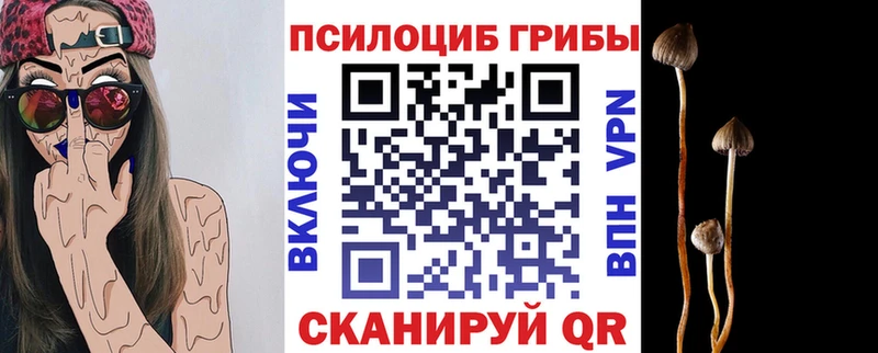 сколько стоит  Малая Вишера  Галлюциногенные грибы GOLDEN TEACHER 